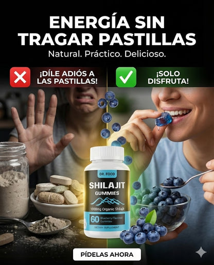 GOMITAS SHILAJIT CON REGISTRO SANITARIO